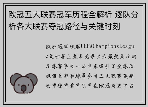 欧冠五大联赛冠军历程全解析 逐队分析各大联赛夺冠路径与关键时刻
