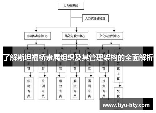 了解斯坦福桥隶属组织及其管理架构的全面解析