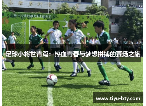 足球小将世青篇:热血青春与梦想拼搏的赛场之旅 足球小将世青篇:热血青春与梦想拼搏的赛场之旅