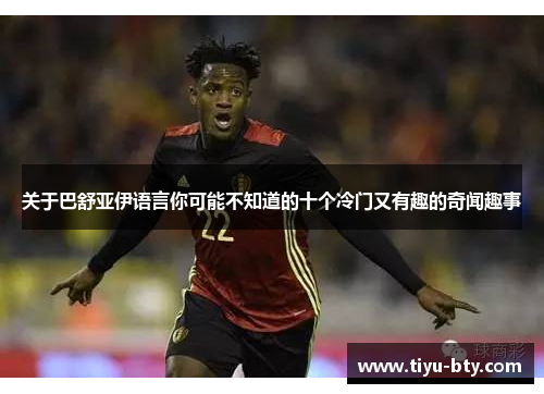 关于巴舒亚伊语言你可能不知道的十个冷门又有趣的奇闻趣事