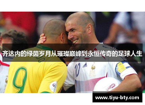 齐达内的绿茵岁月从璀璨巅峰到永恒传奇的足球人生