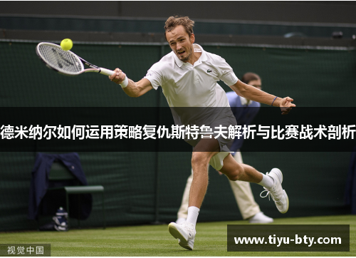 德米纳尔如何运用策略复仇斯特鲁夫解析与比赛战术剖析
